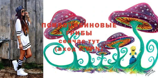 apvp Вязники
