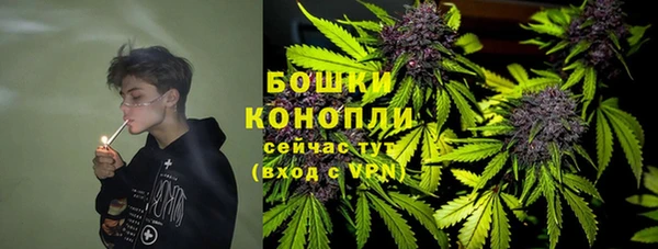 соль ск Вязьма