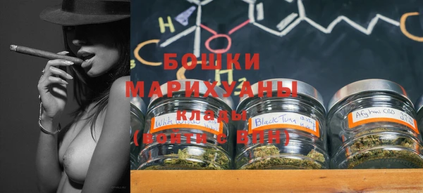spice Гусь-Хрустальный