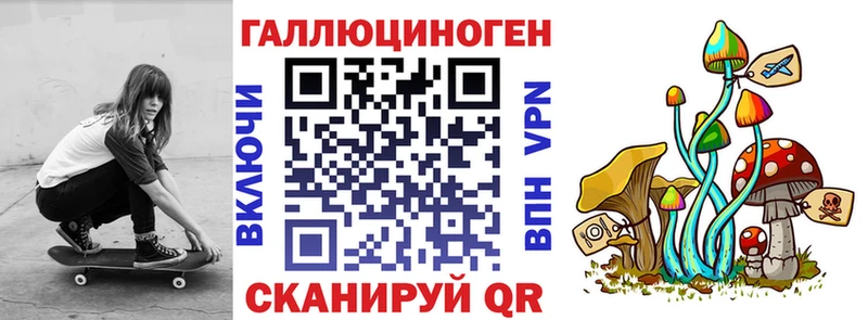 Галлюциногенные грибы Psilocybine cubensis  Дно 